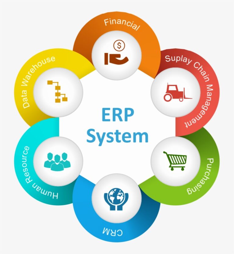 ERP Application Extensions Development - McKinney Data Systems